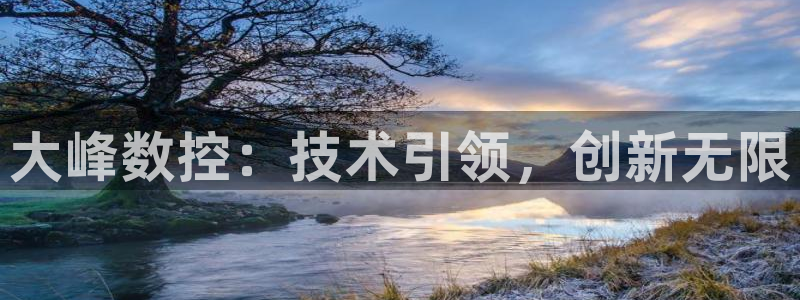 天辰娱乐软件:大峰数控:技术引领,创新无限