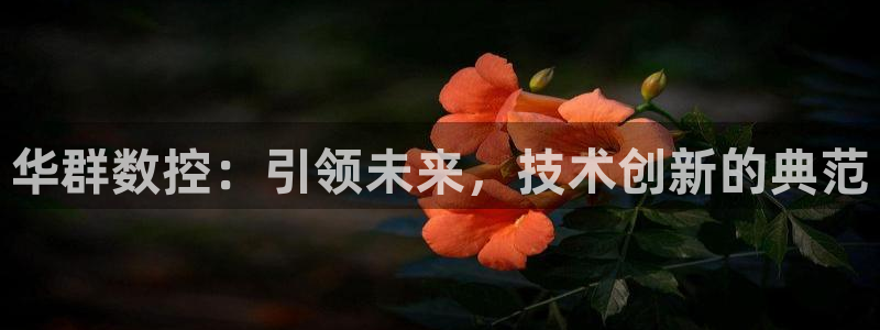 天辰娱乐登录测试:华群数控:引领未来,技术创新的典范