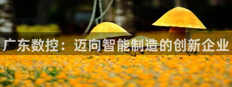 天辰娱乐娱乐:广东数控:迈向智能制造的创新企业