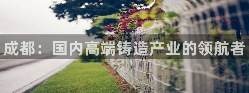 天辰娱乐44616:成都:国内高端铸造产业的领航者