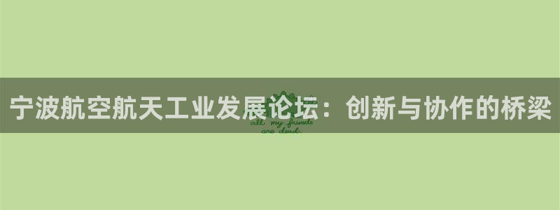 天辰娱乐平台入口:宁波航空航天工业发展论坛:创新与协作的桥梁