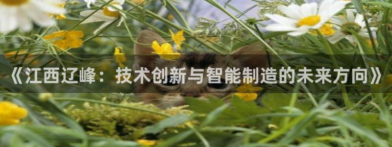 天辰娱乐扣钱:《江西辽峰:技术创新与智能制造的未来方向》