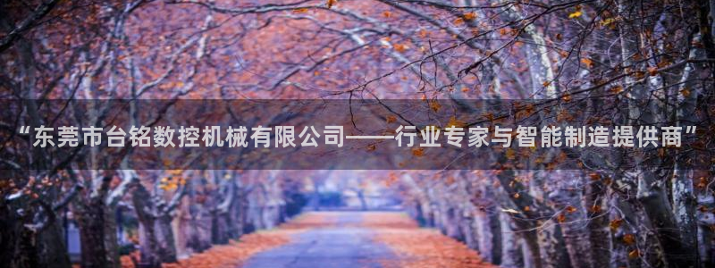 天辰娱乐7天22650:“东莞市台铭数控机械有限公司——行业专家与智能制造提供商”