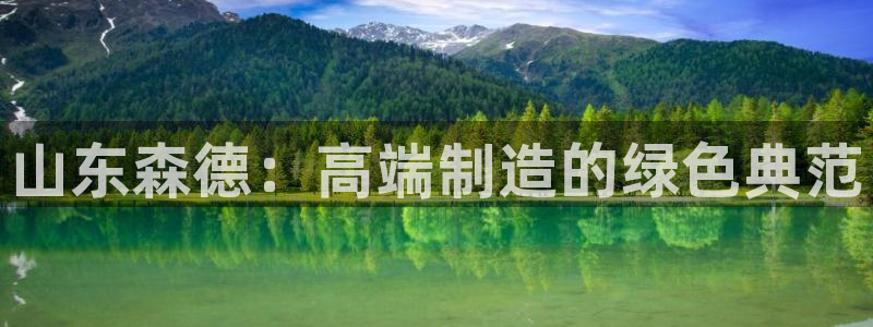 天辰娱乐在线:山东森德:高端制造的绿色典范