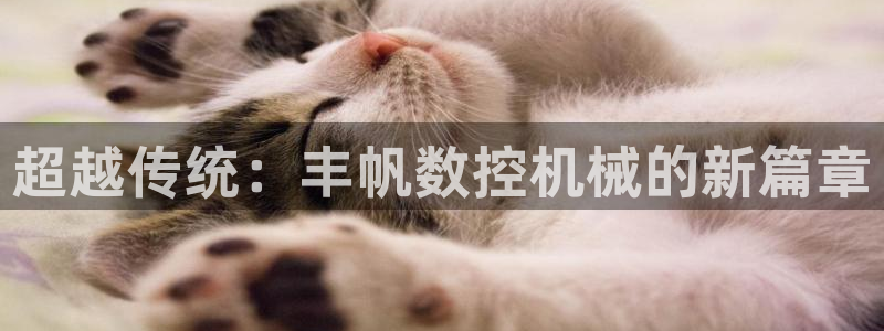 天辰娱乐软件:超越传统:丰帆数控机械的新篇章