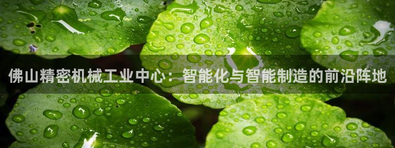 天辰娱乐扣钱:佛山精密机械工业中心:智能化与智能制造的前沿阵地
