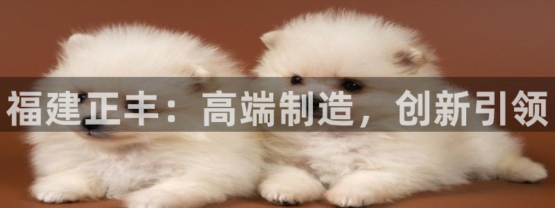 天辰娱乐客服:福建正丰:高端制造,创新引领
